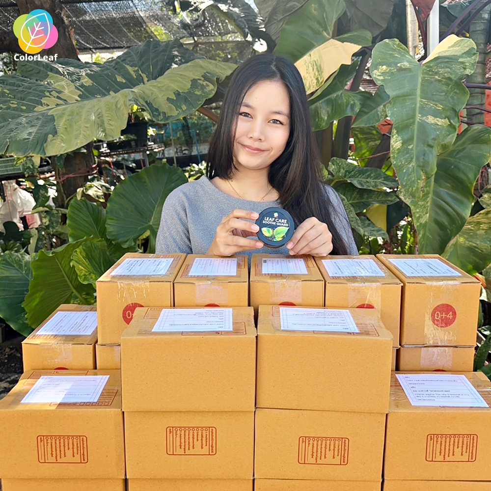 Color Leaf : LEAF CARE SUPER REFILL ชุดผลิตภัณฑ์ ทำความสะอาดเคลือบเงาใบไม้ บำรุงเร่งหน่อ และ ปูนทาแผลป้องกันเชื่อรา - รูปที่ 6