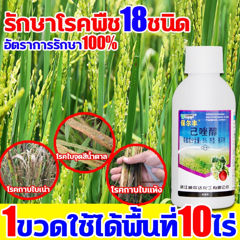 รักษาโรคข้าวเฮกซะโคนาโซล 1ขวดใช้ได้พื้นที่10ไร่ ยาเชื้อรา ป้องกันกำจัดโรคเมล็ดด่างโรคราแป้งโรคใบจุดสีน้ำตาล