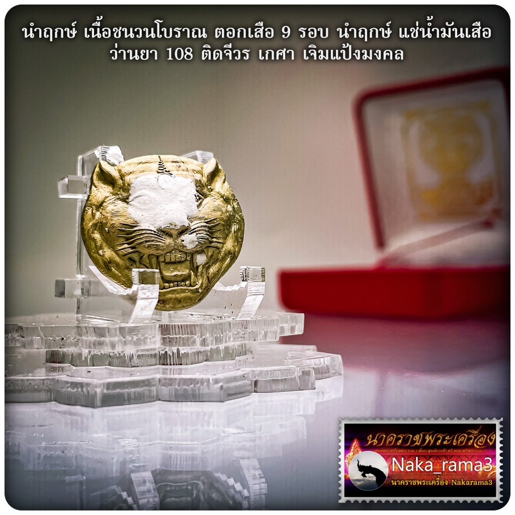 เหรียญ หน้าเสือ รุ่น มหาบารมี หลวงปู่อิ่ม ปญฺญาวุโธ วัดทุ่งนาใหม่ จ.นครศรีธรรมราช