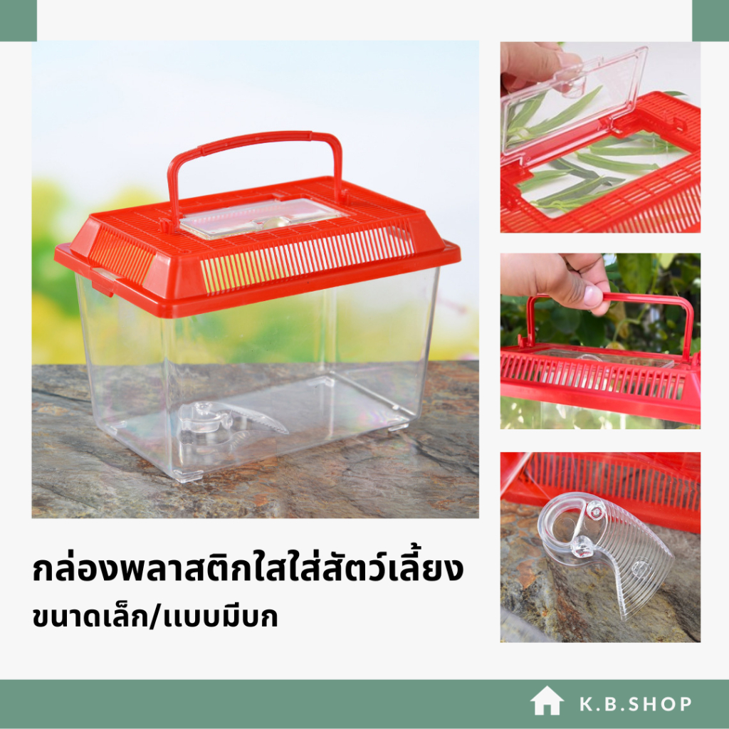 กล่องพลาสติกใสใส่สัตว์เลี้ยง เต่า นก หนู ปลา ขนาดเล็ก/เเบบมีบก