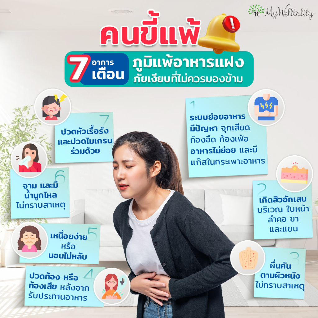 รูปภาพ 6