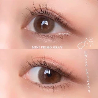 คอนแทคเลนส์ Mini Primo Gray / Brown (Kitty Kawaii) ขนาดมินิ เนียน ธรรมชาติ ขายดีมาก
