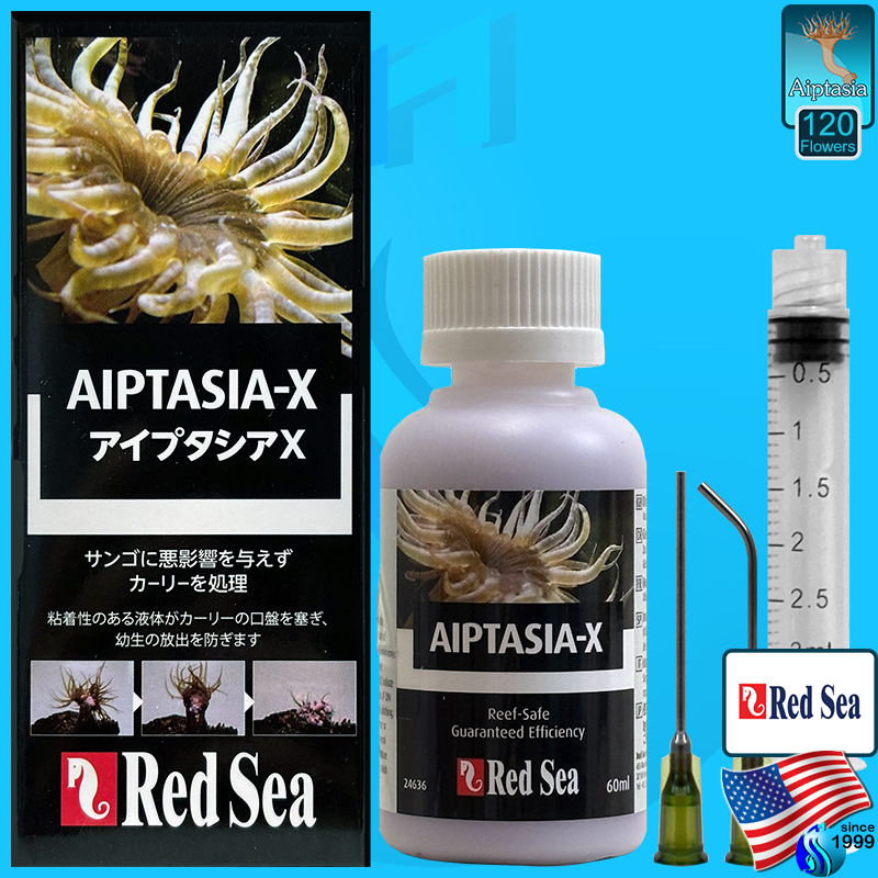 Red Sea Aiptasia-X อิปตาเซีย กำจัดแอ๊ป กำจัดอิ๊ป 60ml aip Redsea Aiptasia X aiptasiax aiptasia kille