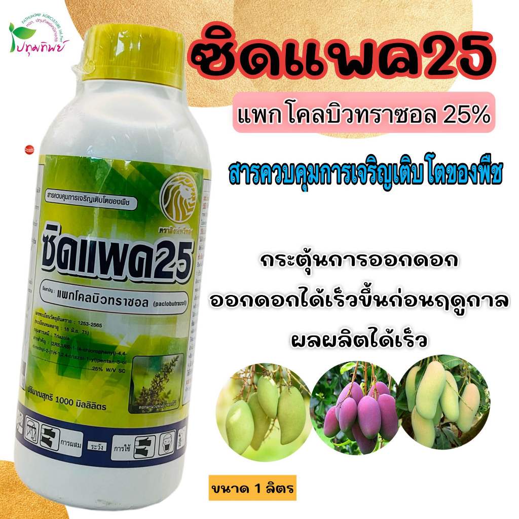 ซิดแพค25 (แพกโคลบิวทราซอล25%) สารควบคุมการเจริญเติบโตของพืช สารมะม่วง สารทุเรียน ขนาด 1 ลิตร