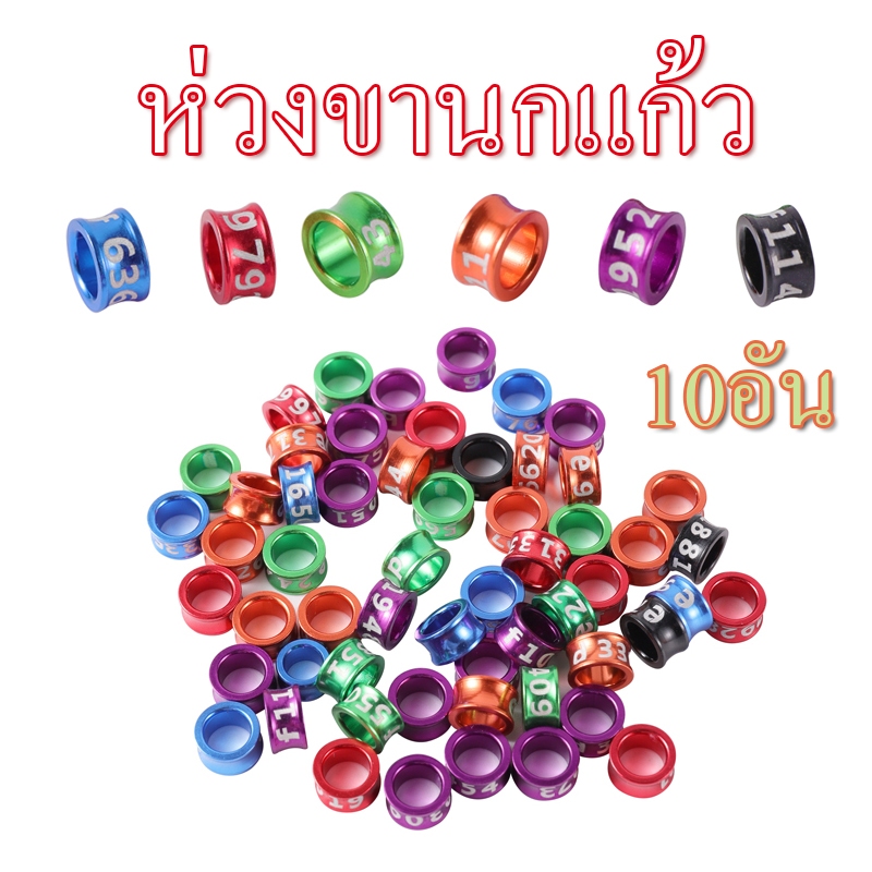 10วง แหวนข้อเท้านก ห่วงขานกแก้ว ห่วงขานก พร้อมตัวเลส สีสันสดใส ทำจากอลูมิดนียมน้ำหนักเบา การจัดส่งสุ่มสี  4-7มม