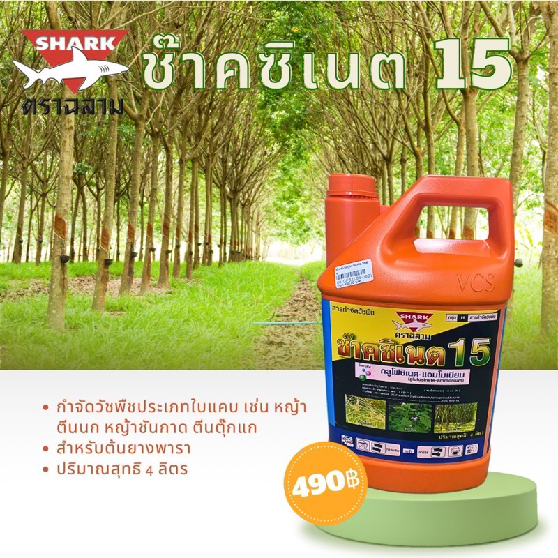 ช๊าคซิเนต ❌❌ยกลัง 4*6แกลอน❌❌(กลูโฟซิเนต-แอมโมเนียม)