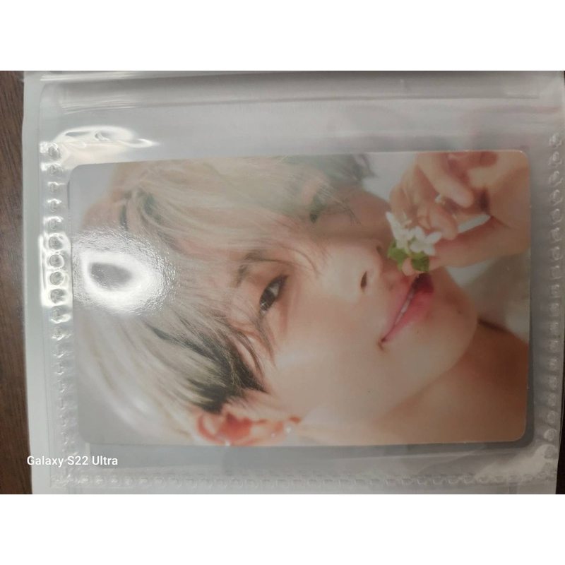 ENHYPEN การด์จาก Ksana NIKI JAY SUNGHOON