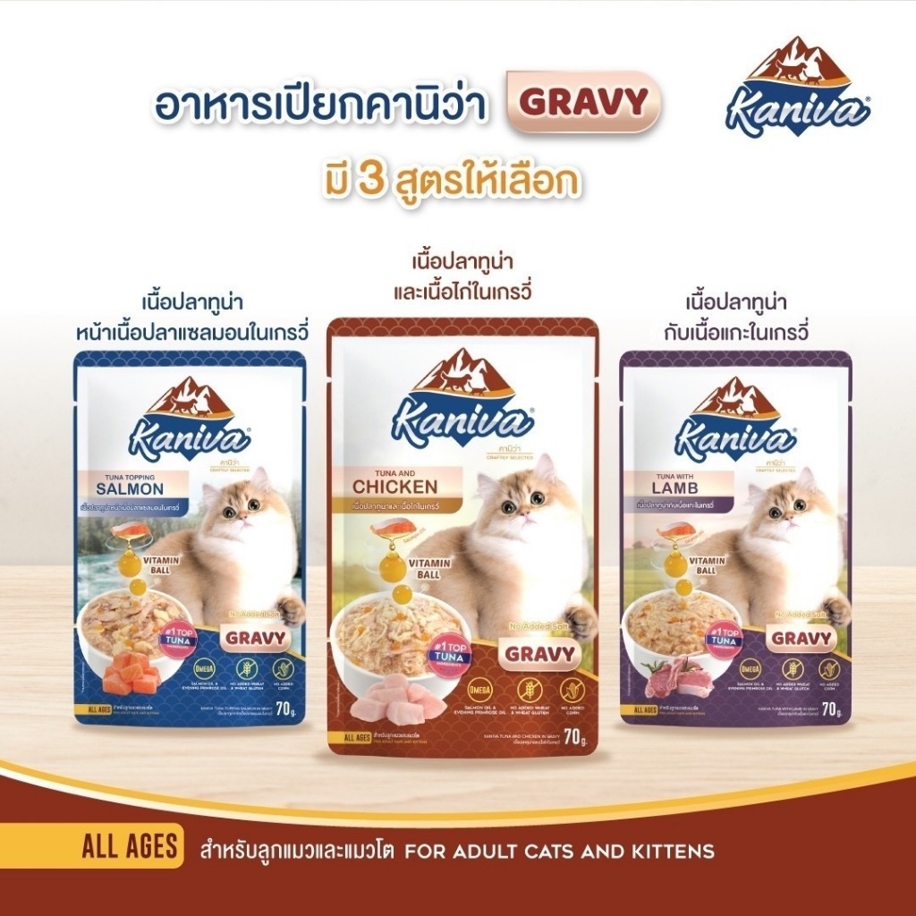 รูปภาพ 4