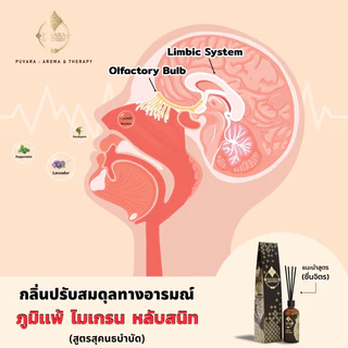 Puvara ภูวารา ก้านไม้หอม Aroma Reed Diffuser