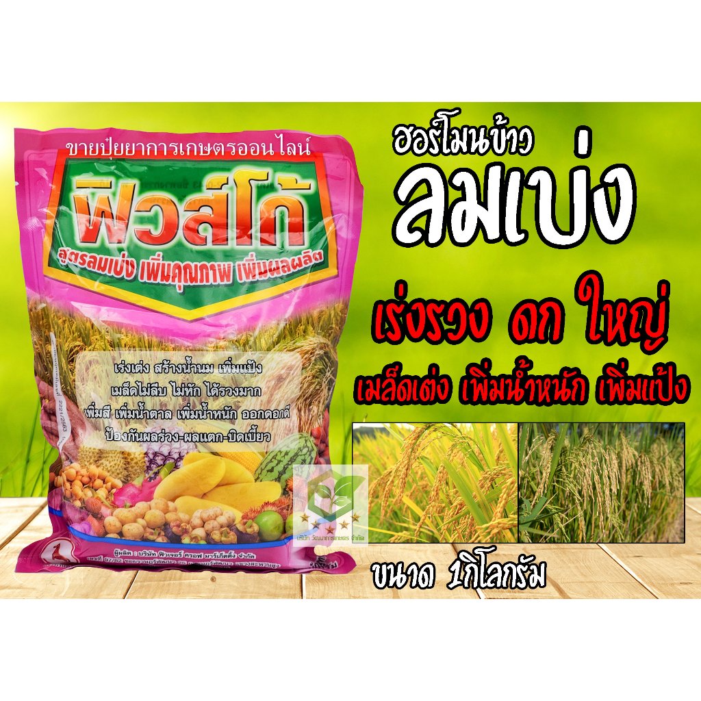 ปุ๋ยลมเบ่งข้าว 1 กิโล 12-0-43 ฟิวส์โก้ บำรุงข้าว ตั้งท้อง ออกรวง กระชากรวง เมล็ดเต่ง เพิ่มหน้ำหนัก ปุ๋ยเกร็ดทางใบ ลมเบ่ง