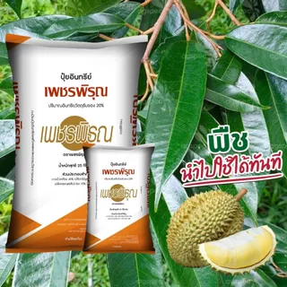 ปุ๋ย ปุ๋ยอินทรีย์ เพชรพิรุณ อินทรีย์วัตถุสูง ใบเขียว เร่งโต พืช สวน พืชไร่ ปุ๋ยเร่งราก ปุ๋ยเร่งใบ