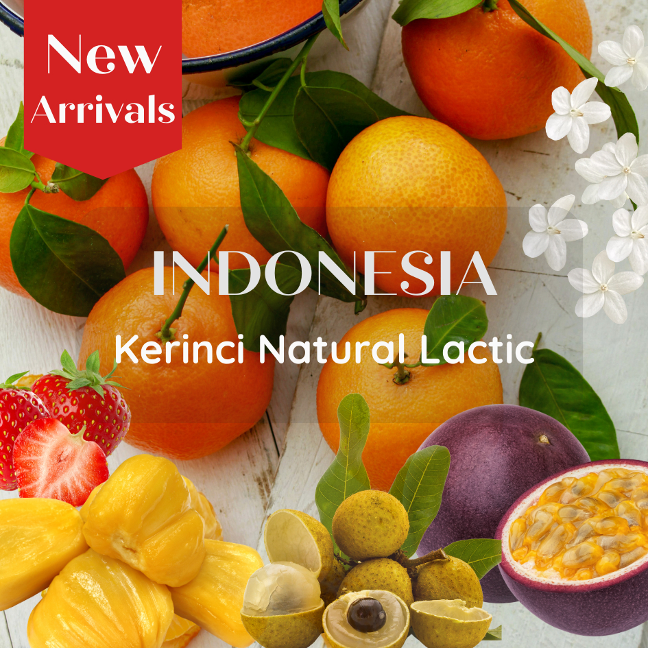สารเมล็ดกาแฟ Indonesia Kerinci Natural Lactic Process 1000g (COE #12 Farmer)