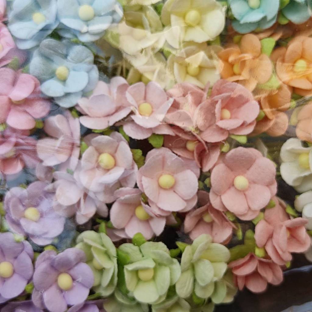 [100 ดอก/10 สีหวาน]ดอกไม้ประดิษฐ์ จากกระดาษสา กลีบดอกสองชั้น 15 มม. ราคา ถูกที่สุด ดีลบีเคเค แกลเลอรีภาพที่ 6
