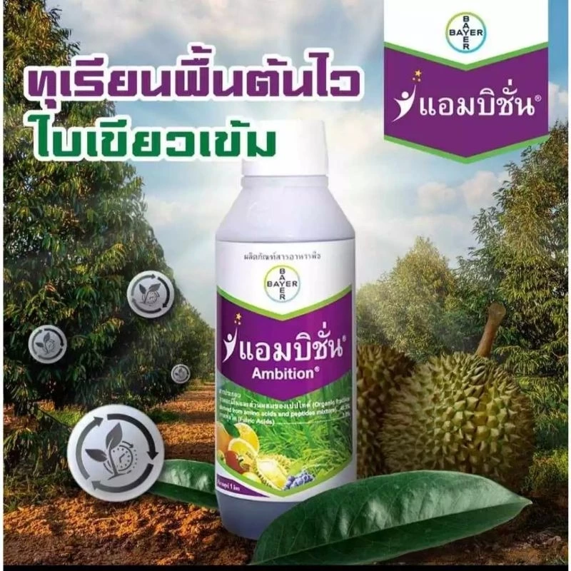 แอมบิชั่น1ลิตร สาระสําคัญ : อะมิโน+ฟลูวิคเข้มข้น ขนาด 1ลิตร