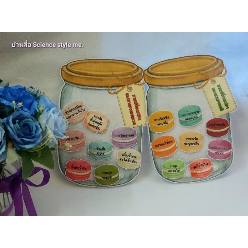 สื่อการสอน การเปลี่ยนแปลงของสาร ทางเคมีและทางกายภาพ