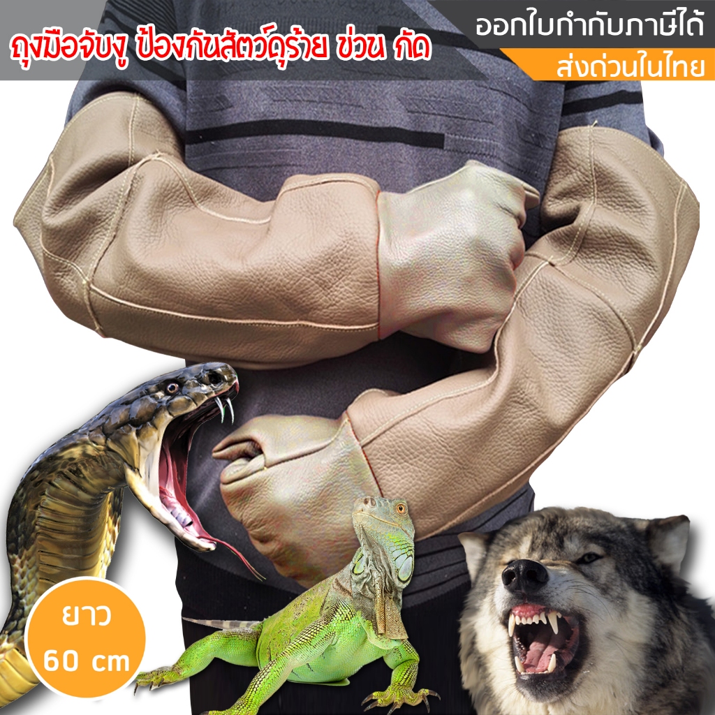 ถุงมือหนัง ป้องกันสัตว์ดุร้าย สุนัขกัด แมวข่วน ยาว 60 cm