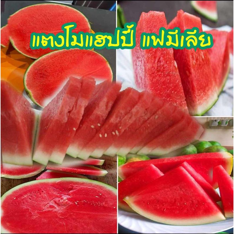 เมล็ดพันธุ์แตงโมไร้เมล็ด หวาน14บริกซ์ แฮปปี้ แฟมีเลีย ชุด20เมล็ด