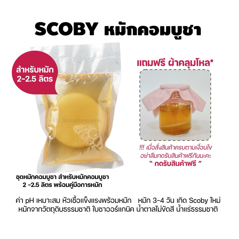Kombucha Scoby หัวเชื้อคอมบูชา รสกลมกล่อม พร้อมคำแนะนำ