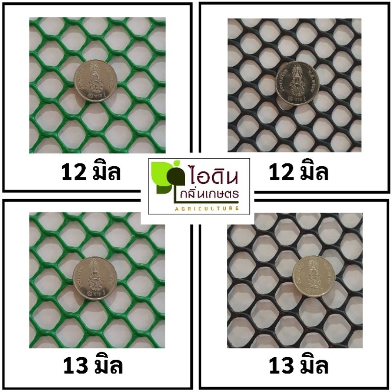 รูปภาพ 7