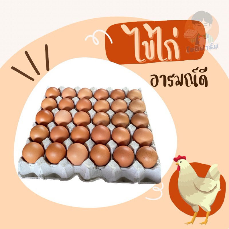 ไข่ไก่อารมณ์ดี เบอร์ 2 (60-64g)(30 ฟอง) เลี้ยงแบบปล่อย🐔 สดใหม่สุดวัน‼️