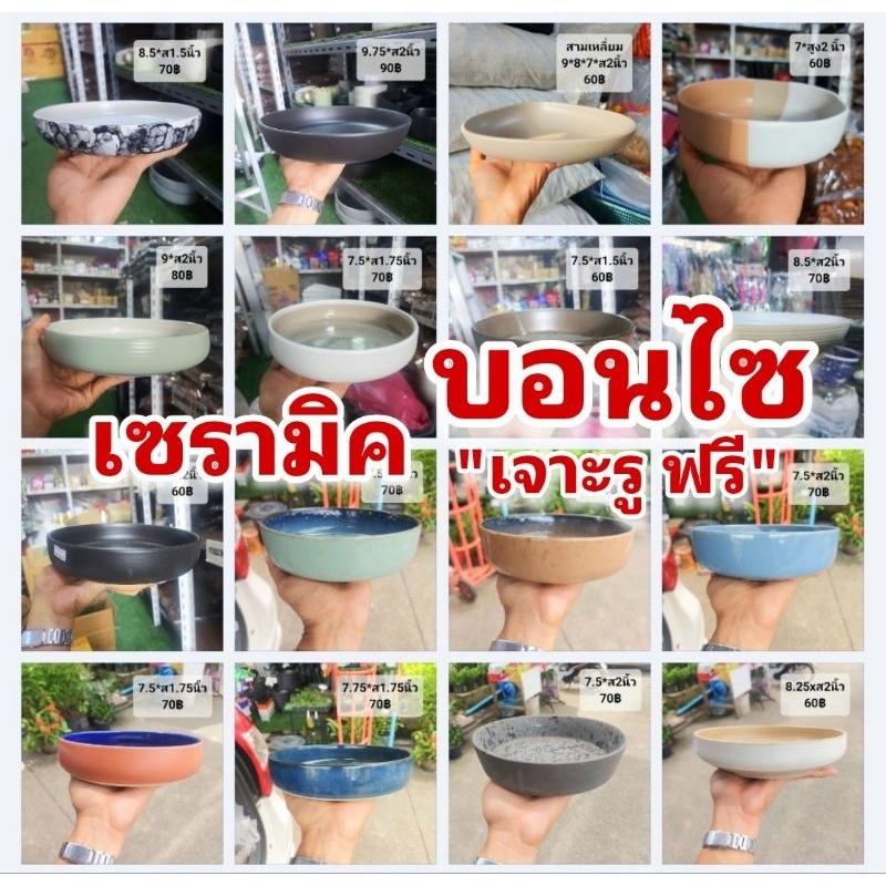 ***** เซรามิค จานทรงสูง // ขนาด 6-10 นิ้ว // เจาะฟรี!!! กระถางเซรามิก ถ้วย ชาม บอนไซ