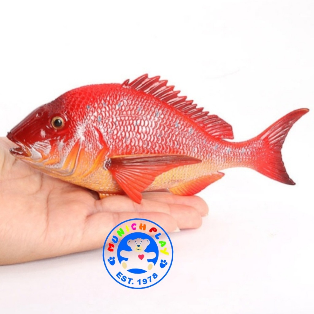 Munich Play - โมเดลสัตว์ Fish ปลา ปลากระพงแดง ขนาด 17.00 CM (จากหาดใหญ่)