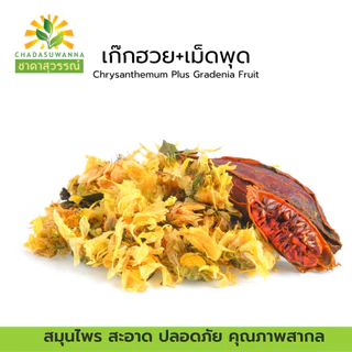 เก๊กฮวยเม็ดพุด ชาดาสุวรรณ์ หอม สดใหม่ dried chrysanthemum dried gardenia fruit Chadasuw