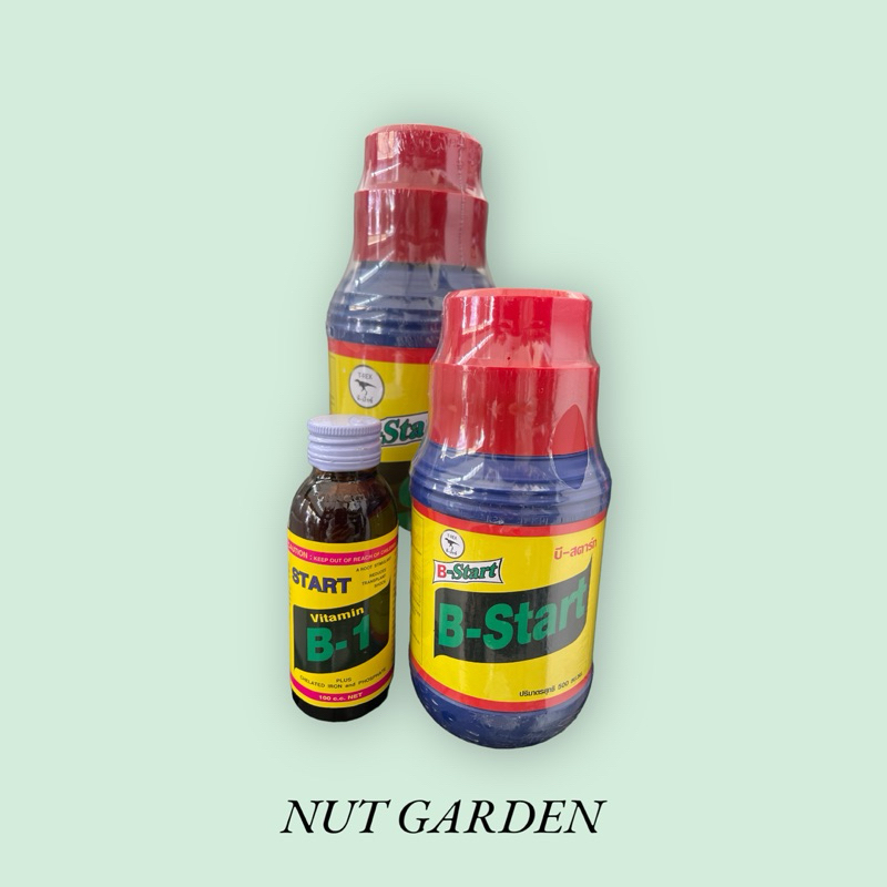 B1 น้ำยาเร่งราก น้ำยาล่อราก ธาตุอาหารรอง เร่งราก กิ่งตอน