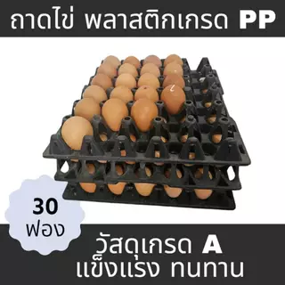 ถาดไข่ไก่ ไข่เป็ด เบอร์ใหญ่ 0-3 บรรจุไข่ได้ 30 ฟอง[สินค้ามือ1]