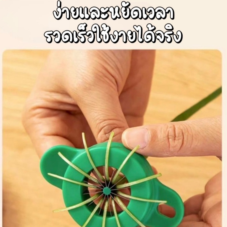 ที่กรีดผักบุ้ง มีดซอยผักบุ้ง มีดปลอกผักบุ้ง ผักบุ้ง ผักบุ้งฝอย มีดตัดผักบุ้ง มีดปอกผักบุ้ง