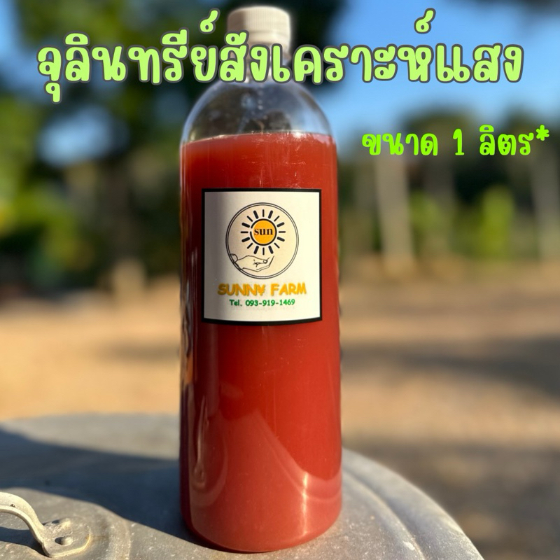 จุลินทรีย์น้ำแดง หัวเชื้อจุลินทรีย์สังเคราะห์แสง PSB 1 ลิตร