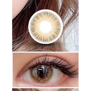 คอนแทคเลนส์ Baby Rich Gray / Brown - Luxzy Lens สีเทา/สีน้ำตาลขนาดมินิขายดี มีสายตาถึง -7.00