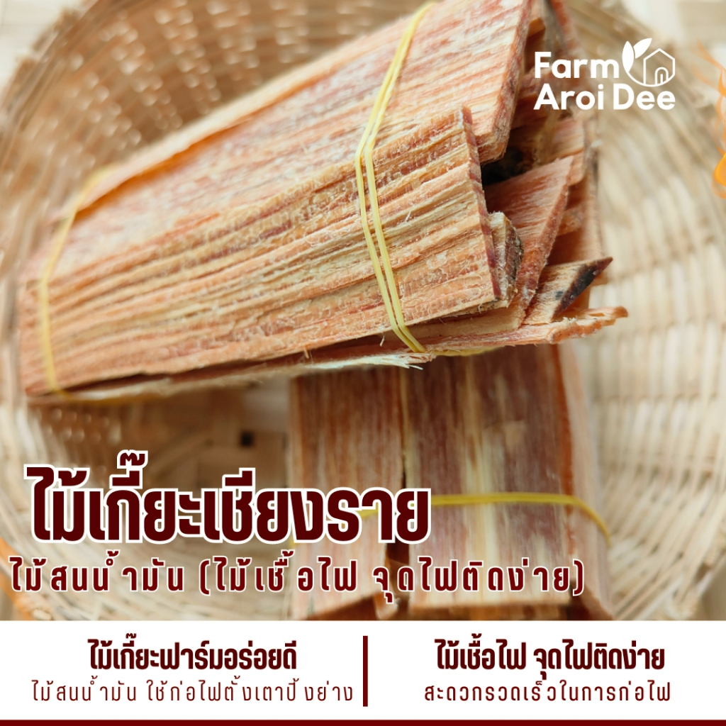 ไม้เกี๊ยะ ติดไฟง่าย (มีกลิ่นหอมไม้สน) ใช้จุดไฟ ก่อกองไฟ เตาย่าง เตาถ่าน