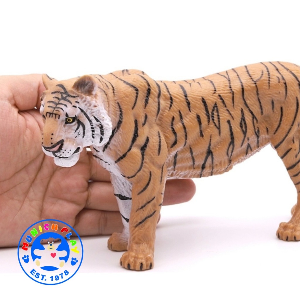 Munich Play - โมเดลสัตว์ Tiger เสือโคร่ง ขนาด 22.00 CM (จากหาดใหญ่)