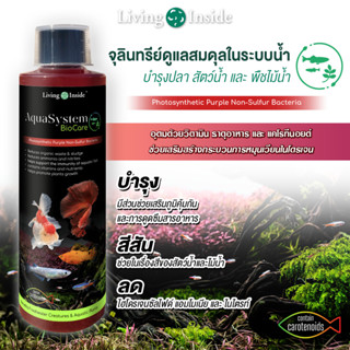 จุลินทรีย์ดูแลสมดุลในระบบน้ำ อ่างปลา ตู้ไม้น้ำ บำรุงปลา บำรุ…