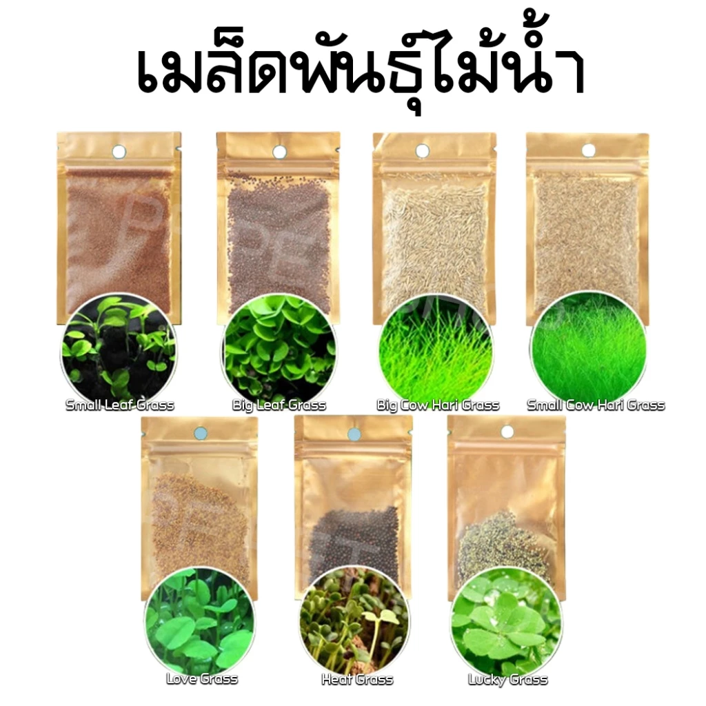 เมล็ดพันธุ์ไม้น้ำ เมล็ดปลูกต้นไม้น้ำ ต้นไม้ปลูกในน้ำ มี 7 ชนิด 10กรัม/ซอง