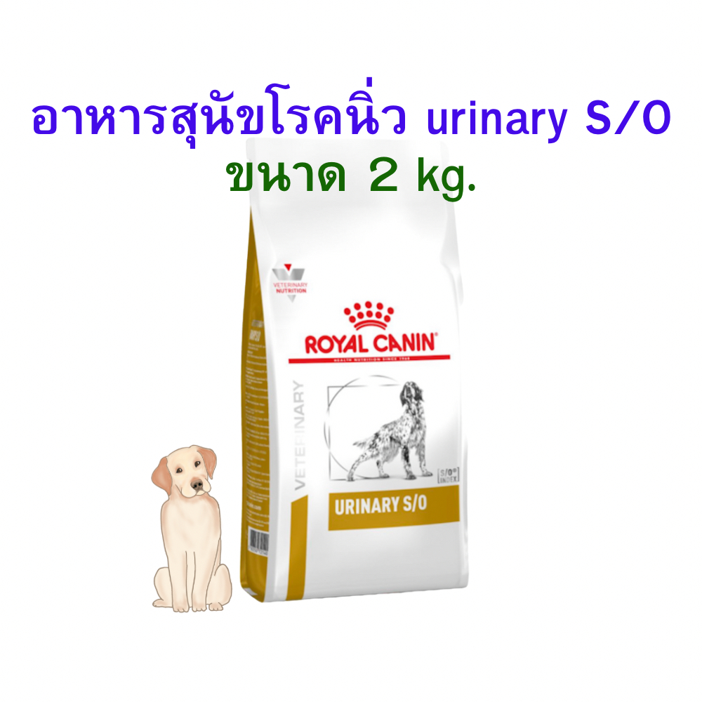 (หมดอายุ: 03/08/2026) royal canin อาหารสุนัขโรคนิ่ว urinary s/o 2 กิโลกรัม