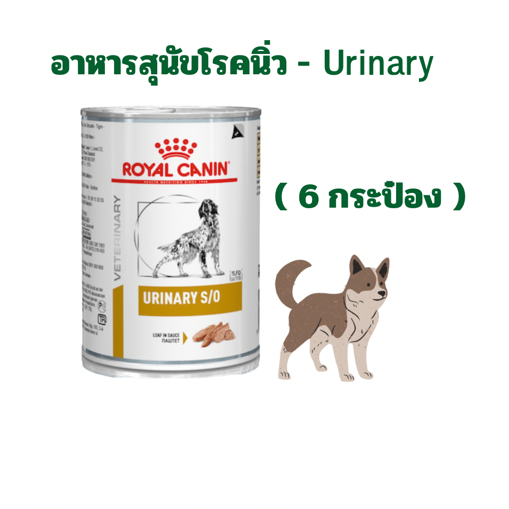 (หมดอายุ : 20/02/2028) royal canin อาหารสุนัขโรคนิ่ว urinary s/o 410 g. (6 กระป๋อง)