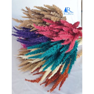 Rarin ดอกหญ้าปีกนก  ( ย้อมสี ) ใช้กับงานประดับ ตกแต่ง  มีควา…