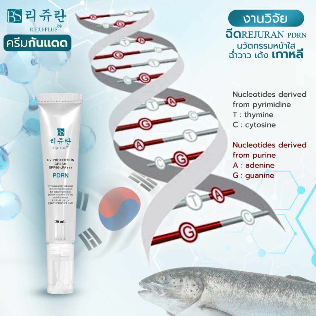 Barcony Reju-Plus ครีมเกาหลี ครีมกันแดด รีจูรัน  ปกป้องรังสี UVA และ UVB จากแสงแดด SPF50+ PA++++ ป้องกันกันเกิดฝ้า-กระ