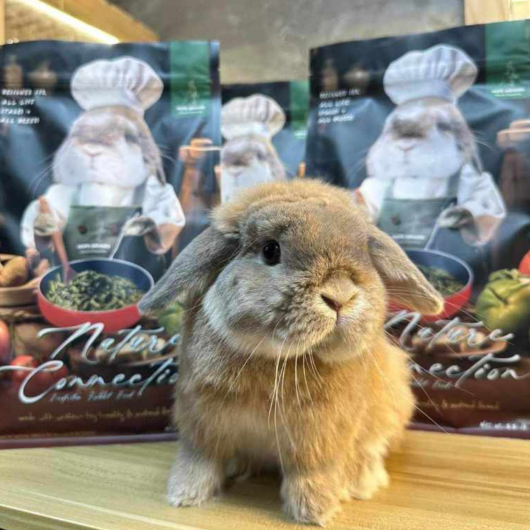 CatHoliday โฮ๊ป อาฮาล Hope Arharn อาหารกระต่าย 1 กิโลกรัม อาหารกระต่ายสำหรับทุกวัย รูปที่ 7