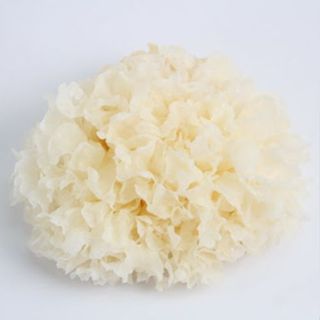 เห็ดหูหนูขาวอย่างดี เกรด A  1 กิโลคัดสรรคุณภาพ อาหารแห้ง