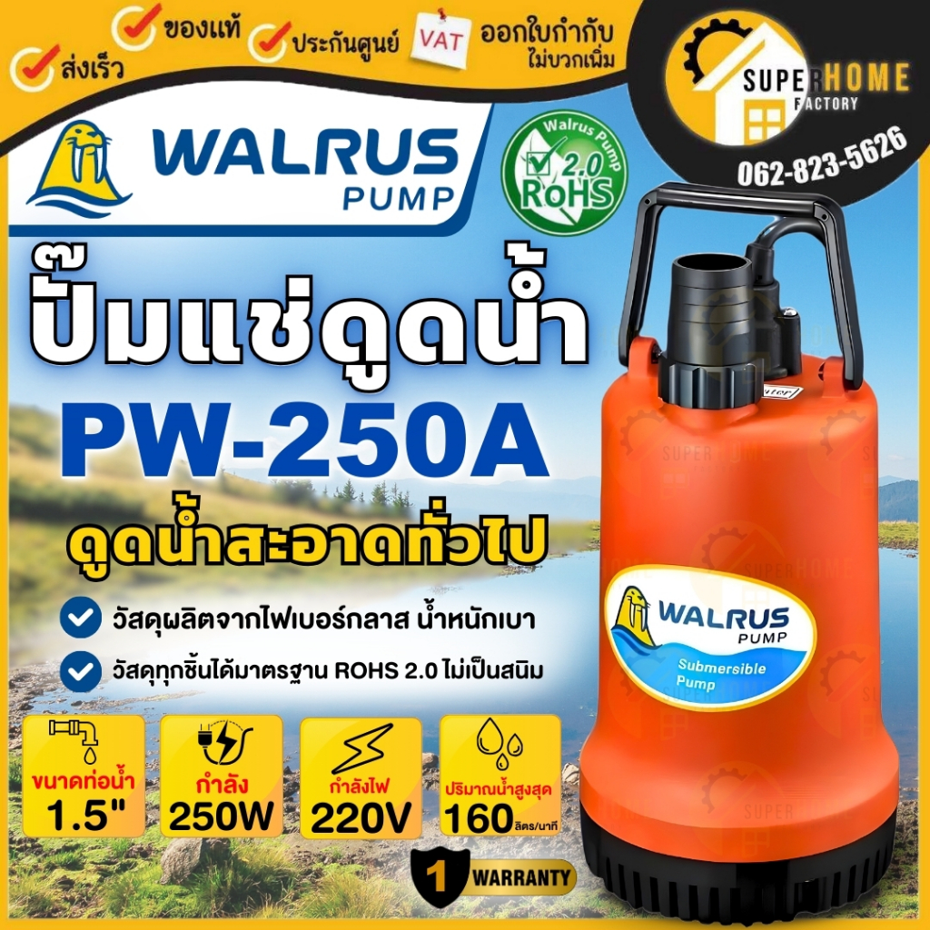 🔥ส่งฟรี 🔥 WALRUS ปั๊มแช่ ตราแมวน้ำ รุ่น PW-250A  1.1/2 นิ้ว ไดโว่ ปั๊มดูดน้ำ ปั๊มจุ่ม ไดโว่ ปั้มแช่ 