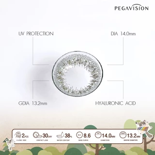 PEGAVISION คอนแทคเลนส์สี รายเดือน รุ่น Forest Miracle สี Balsam Green (2 เลนส์/กล่อง)