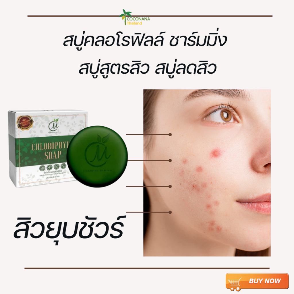 สบู่ชาร์มมิ่ง คลอโรฟิลล์ #Chlorophyll Soap #สบู่ถั่ว # สิวหนัก #ดีท็อกซ์ผิว #ของแท้ 100%