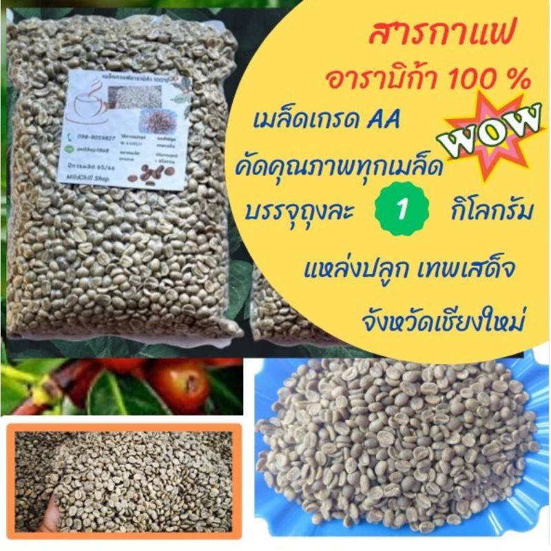 เมล็ดกาแฟ สารกาแฟ เทพเสด็จ เชียงใหม่ เกรด AA อาราบิก้า 100% บรรจุ 1 กิโลกรัม
