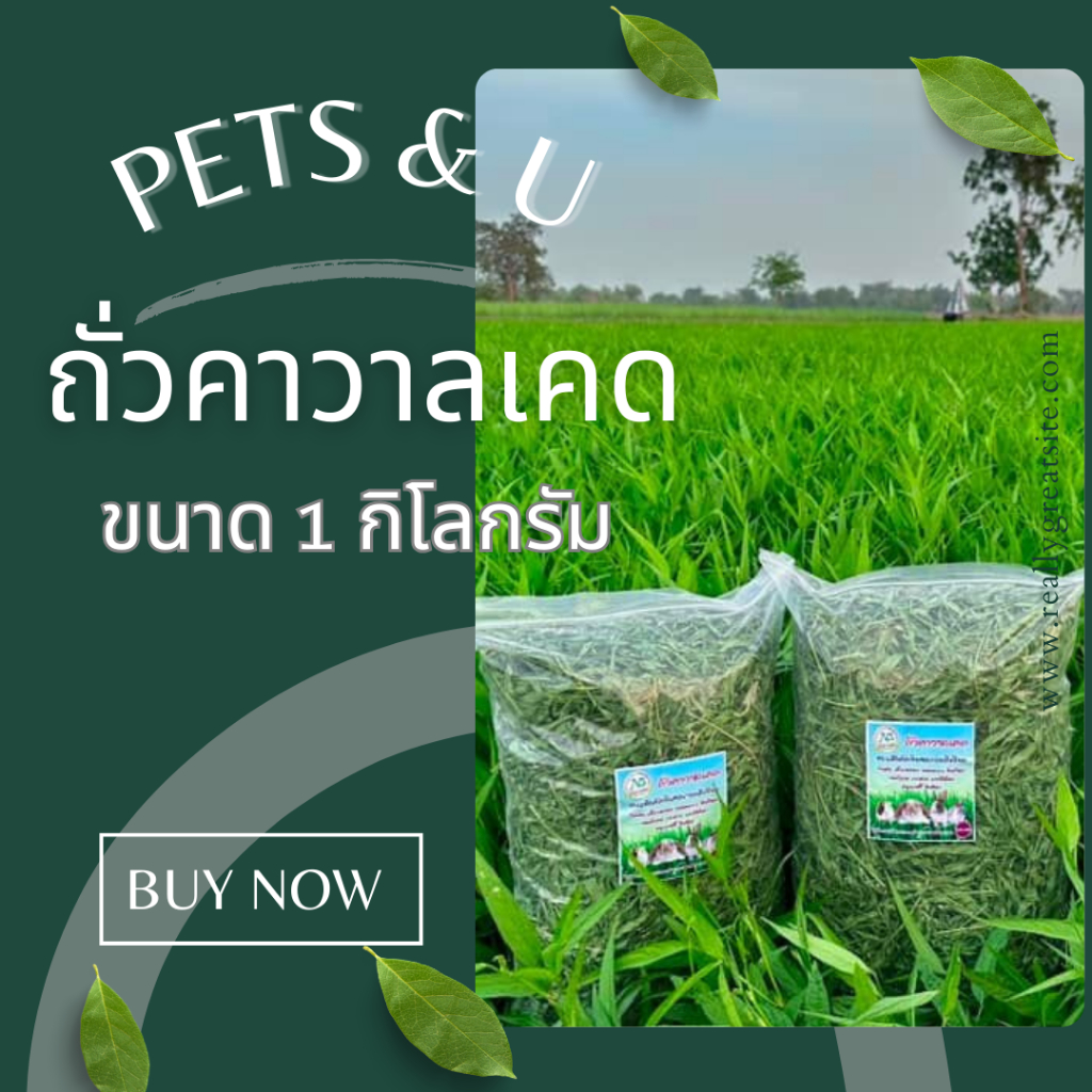 ถั่วคาวาลเคด 1 kg หญ้ากระต่าย อาหารกระต่าย