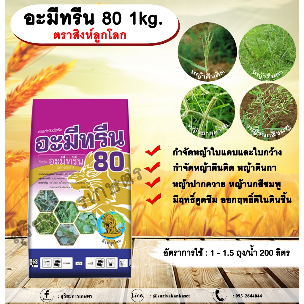 อะมีทรีน 80 1kg. เอ็มซีลูกโลก/สิงห์ลูกโลก อะมีทรีน อามีทรีน สารกำจัดวัชพืช กำจัดหญ้า ใบแคบและใบกว้าง แบบดูดซึม ชนิดผง กำ