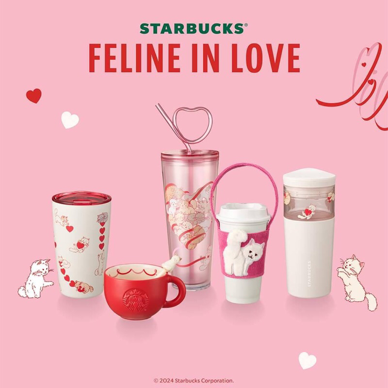 ⭐️Starbucks Feline in Love⭐️Starbucks Valentines Collection 2024⭐️สตาร์บัคส์วาเลนไทน์