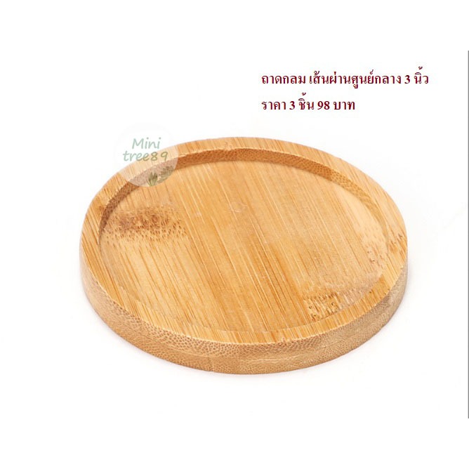 ถาดรองไม้ สีครีม ถาดเปล่า (ขนาด 3นิ้ว หรือ 8 เซนติเมตร) จ.น 3 ชิ้น เเละ 9เซ็น มีหลายขนาดหลายตัวเลือกด้านใน minitree89🌵🪴 - รูปที่ 2